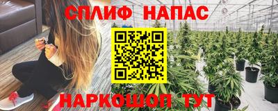 PSILOCYBIN Обнинск