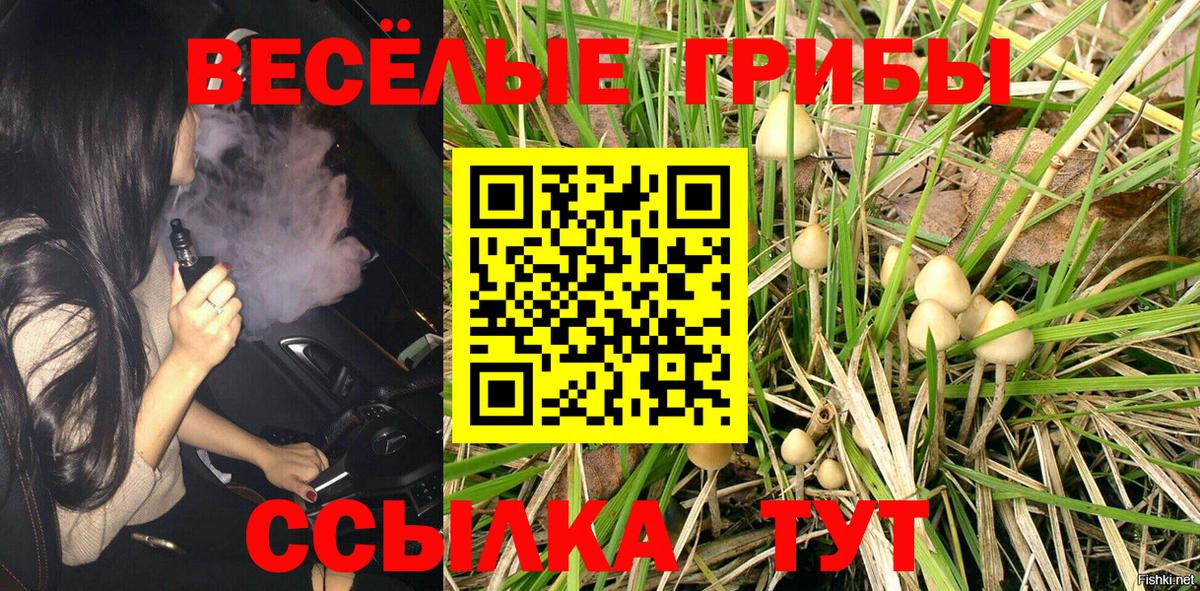 Псилоцибиновые грибы прущие грибы Нижний Тагил